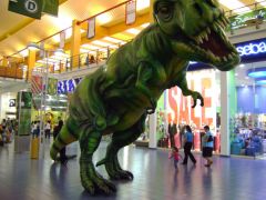 124-1773-albrook-mall.jpg