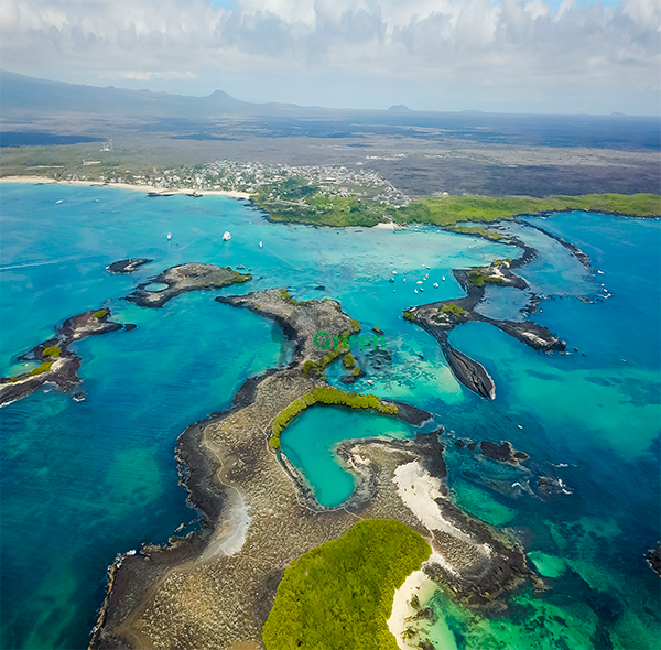 Galápagos Combinado