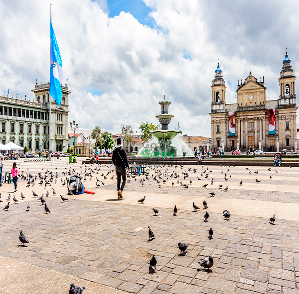 Guatemala Exótica