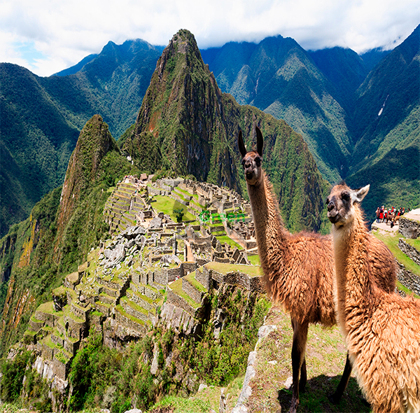 Conocer Machu Picchu